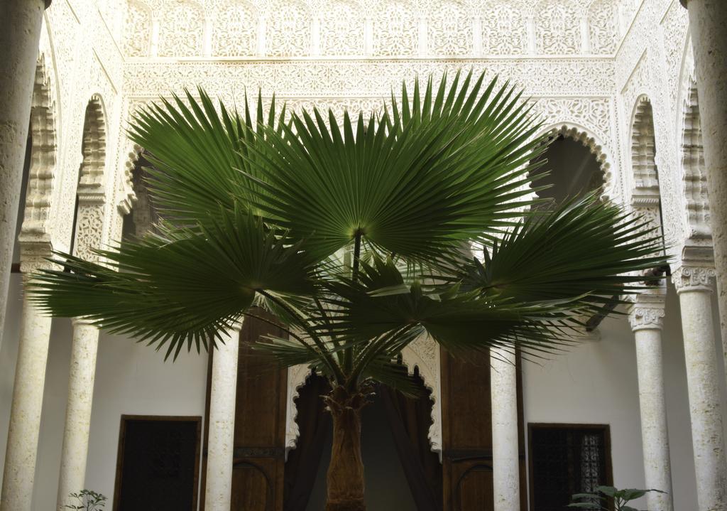 Riad Azahra Rabat Ngoại thất bức ảnh